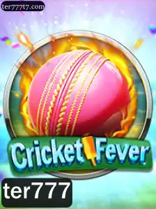 Explorando o Mundo do CricketFever: Regras e Introdução ao Jogo